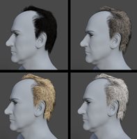 Henrika_Skarz_Hair1.jpg