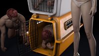 vs_dogcage_api2-(1).jpg