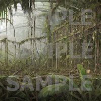 Chaosophia-Jungle-Ruins-Backgrounds-Promo-02.jpg
