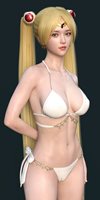 X-Fashion-Chic-Bikini-Sailor-Moon-min.jpg