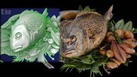 fish.jpg