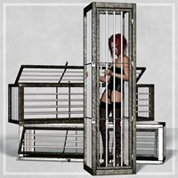 xl4_Cages.jpg
