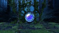 Forest-Portal.jpg
