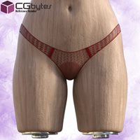75422-SlipSlip-slipable-panty-for-G9_002.jpg