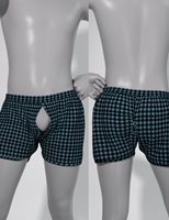 Trunks_01harf_00003.jpg