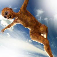 GSC_Bird_III_G9_003.jpg