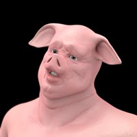 sensitive-pig.jpg