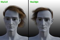 Henrika_VictorG9_hairStyles4.jpg