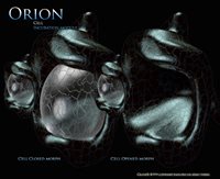 C-Cell-Incubation-morphs.jpg