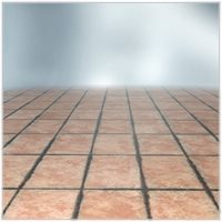 xl3_FloorshowDS.jpg