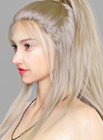 render-003.jpg