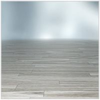 xl4_FloorshowDS.jpg