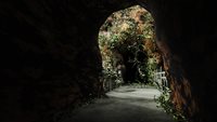 Mysterious-Bridge_popup_04-copy.jpg