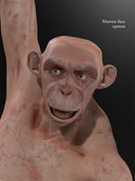 Chimera_shaven_face.jpg