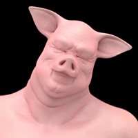 sleepy-pig.jpg