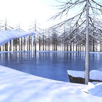 DoctorPervic-Winter-Forest-Set-A.jpg