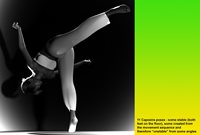 Capoeira-Poses-for-Genesis-9_002.jpg