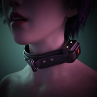 vs_ShockCollar_api1-(1).jpg