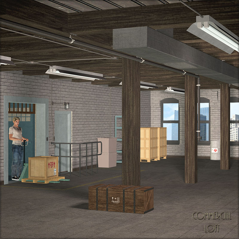 Commercial Loft