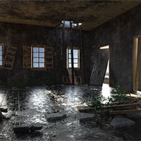 Burned House Down