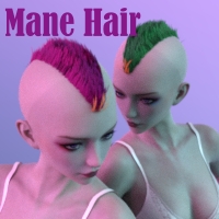 Mane Hair