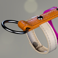 Leather Cage