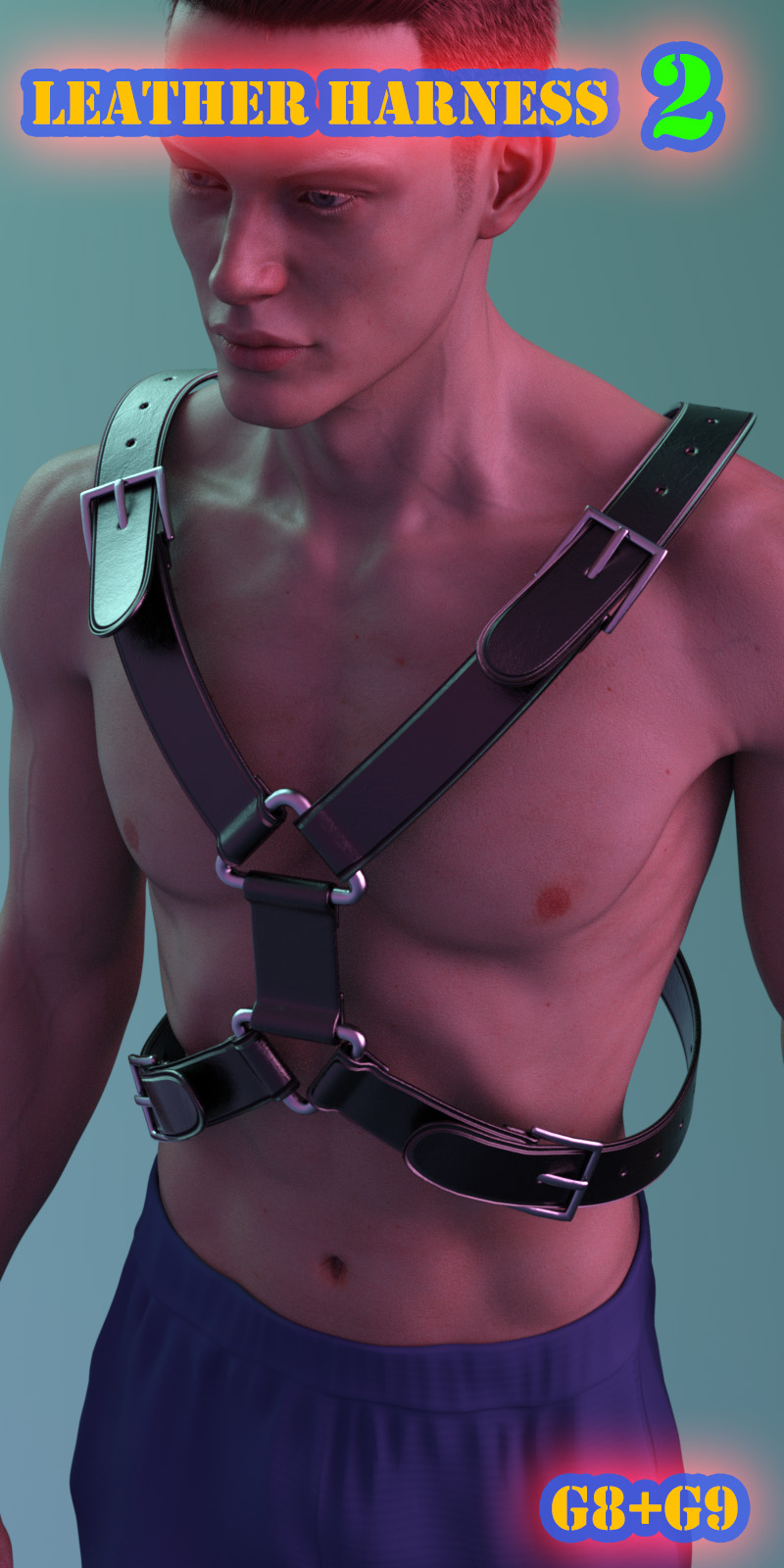 Leather Harness 2