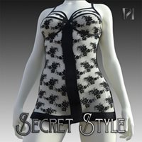 Secret Style 40
