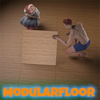 Modular Floor
