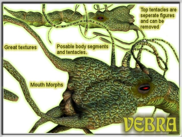 Davo's Vebra!