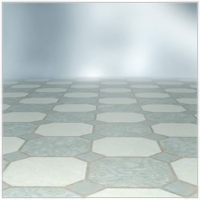 Floor Show DS