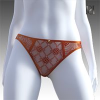 Secret Style 104 - Brief for G8F, G8.1F