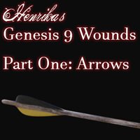 Genesis 9 Wounds Part 1: Arrows