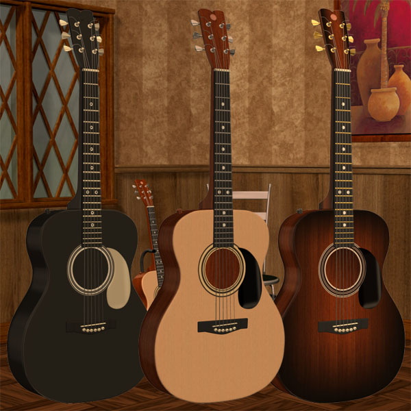 Richabri Acoustic Guitar Set For Poser