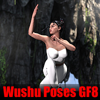 WUDANG Wushu poses for GF8 and GF8.1