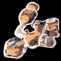 White Shell House