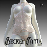 Secret Style 43