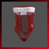STRIPE SWIMSUIT G8F/G8.1F