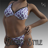 Secret Style 22